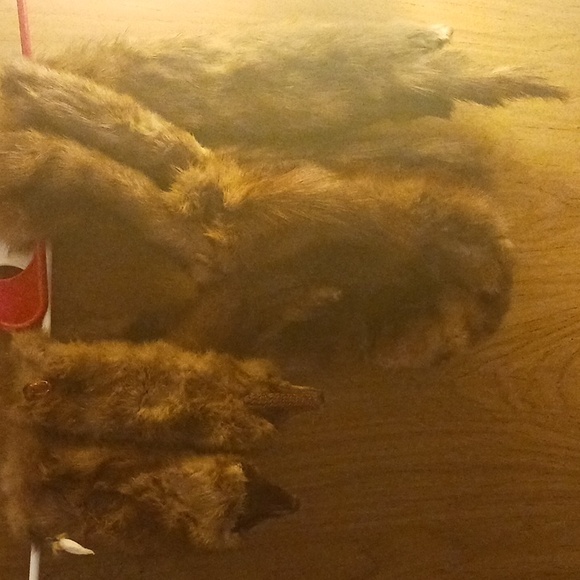 MINK SCARF, 2 MINKS ATTACHED - Picture 2 of 3